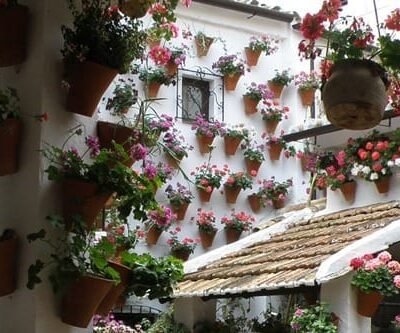 The vibrant Fiesta de los Patios de Córdoba: A celebration of color and community, where the city's hidden courtyards bloom with floral artistry and open their gates to share the joy of spring.