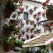 The vibrant Fiesta de los Patios de Córdoba: A celebration of color and community, where the city's hidden courtyards bloom with floral artistry and open their gates to share the joy of spring.