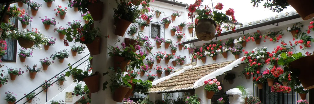 The vibrant Fiesta de los Patios de Córdoba: A celebration of color and community, where the city's hidden courtyards bloom with floral artistry and open their gates to share the joy of spring.