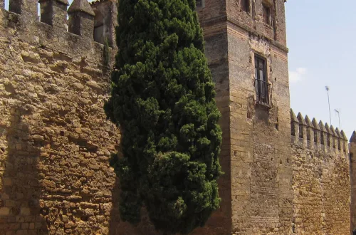 Córdoba city walls