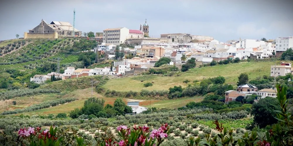 Panoramic View of Montilla, Córdoba, Spain [Photograph]. Credit: Rafael Jiménez via Wikimedia Commons. Licensed under CC BY-SA 2.0. 