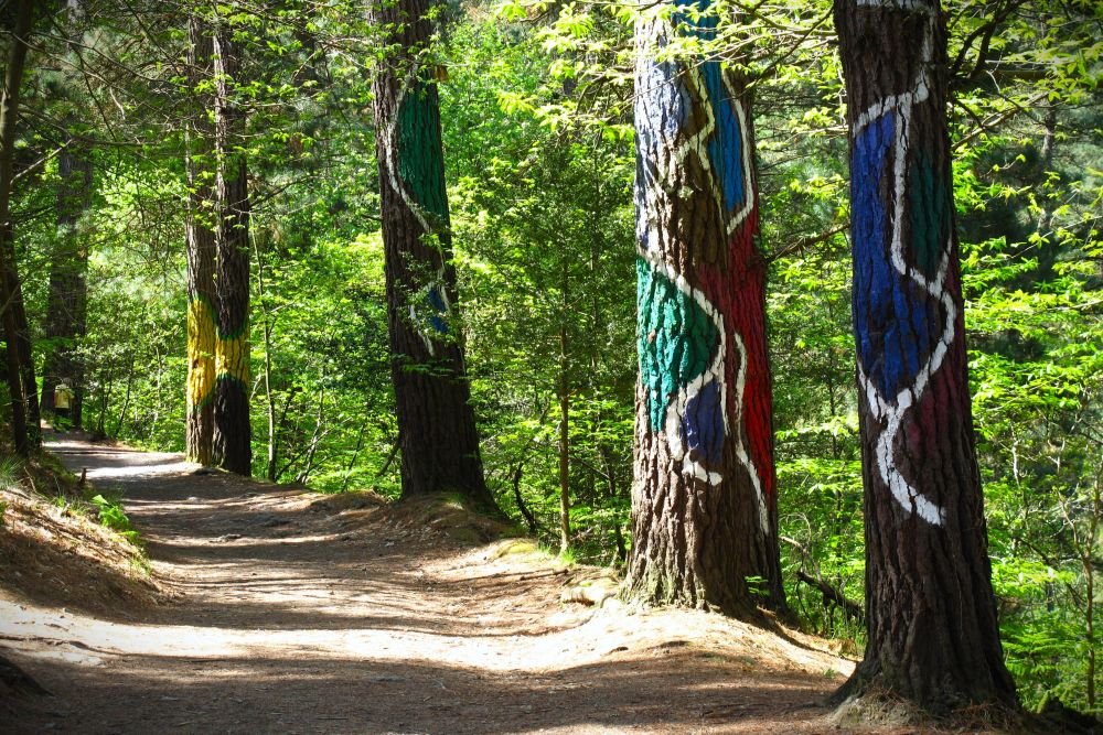 Oma Forest, Kortezubi, Basque Country, Spain [Edited Photograph]. Credit: Simoncio. Licensed under CC BY-SA 4.0. 